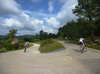 Groupe cyclos du Puy en Velay sur les pentes des Cévennes Groupe cyclos du Puy en Velay en plein effort